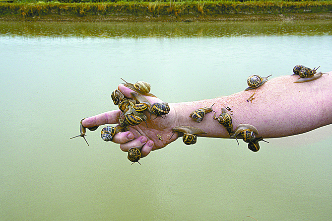 $!‘La ira de la devoción’ gana premio de fotografía en Francia