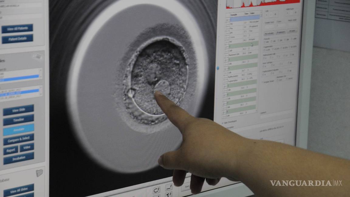 $!Ahora ya puedes elegir el sexo de tu hijo