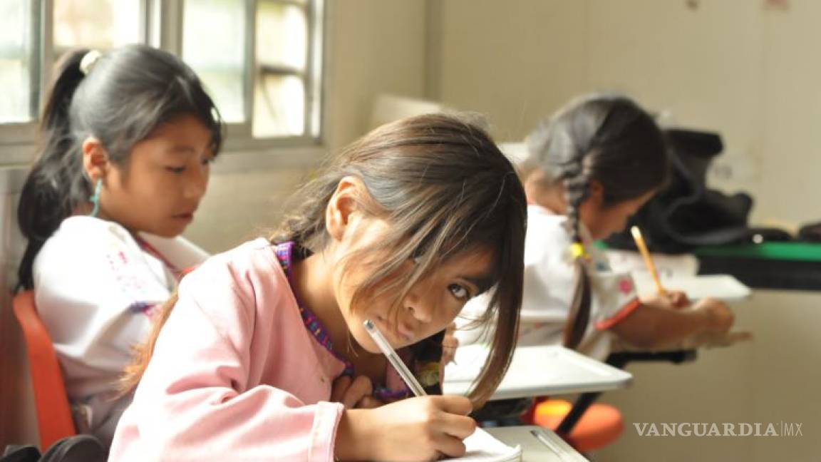 OCDE apoyará al gobierno de AMLO para desarrollar nuevo proyecto educativo