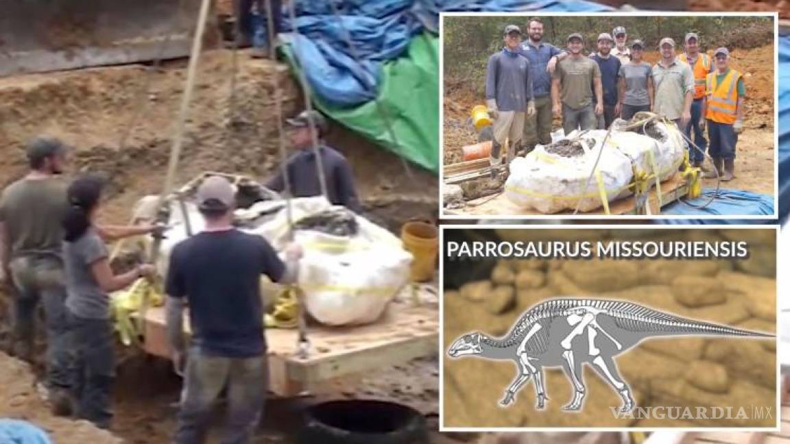 Missouri le “compite” a Coahuila; descubren nueva especie de dinosaurio