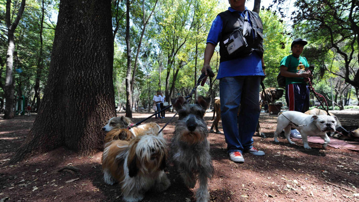 Envenenan perros en La Condesa, ya investigan