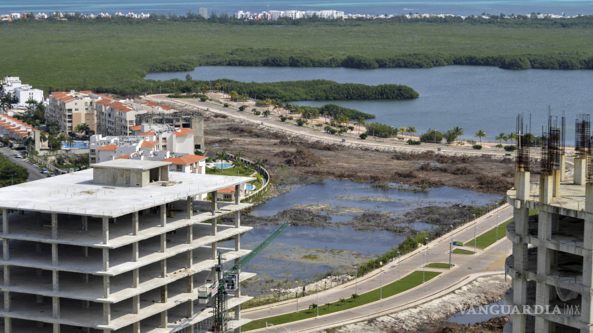 Norte de Quintana Roo perdió 55% de superficie de manglar en 40 años