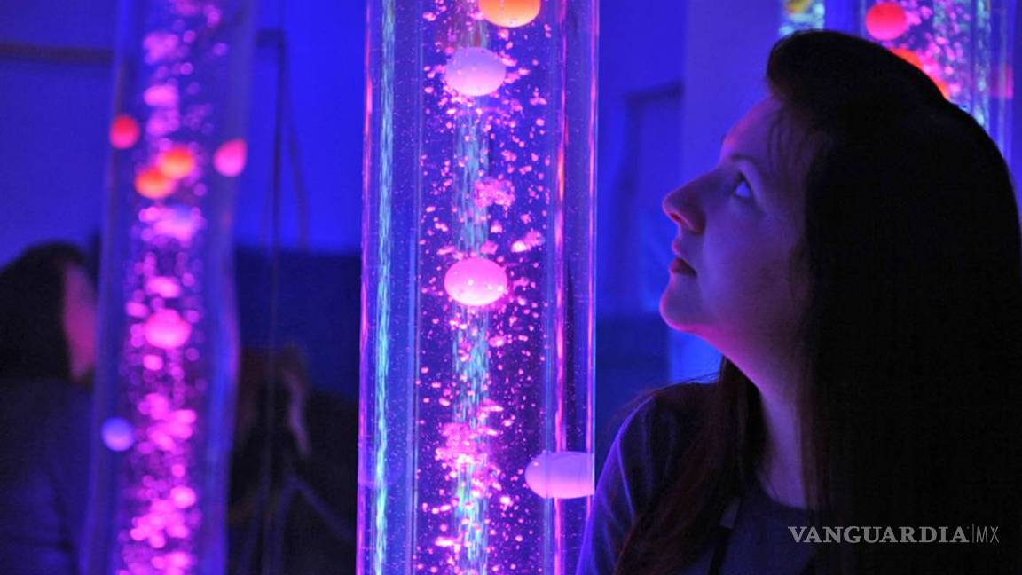 $!Relaje su sistema nervioso en la cabina OrbisBox