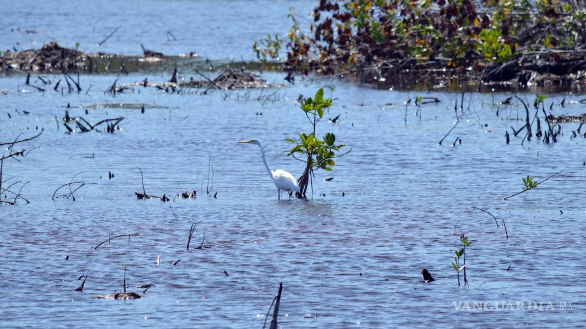 $!Conceden segunda suspensión de proyecto Tajamar