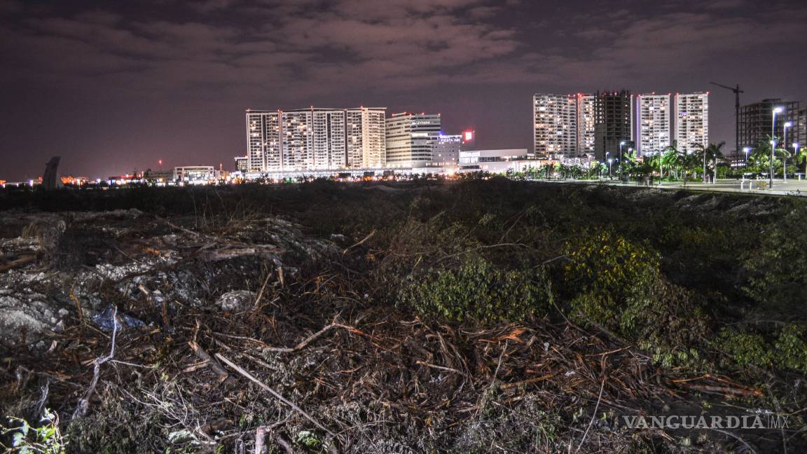 $!ONG insisten que fue ecocidio en Tajamar