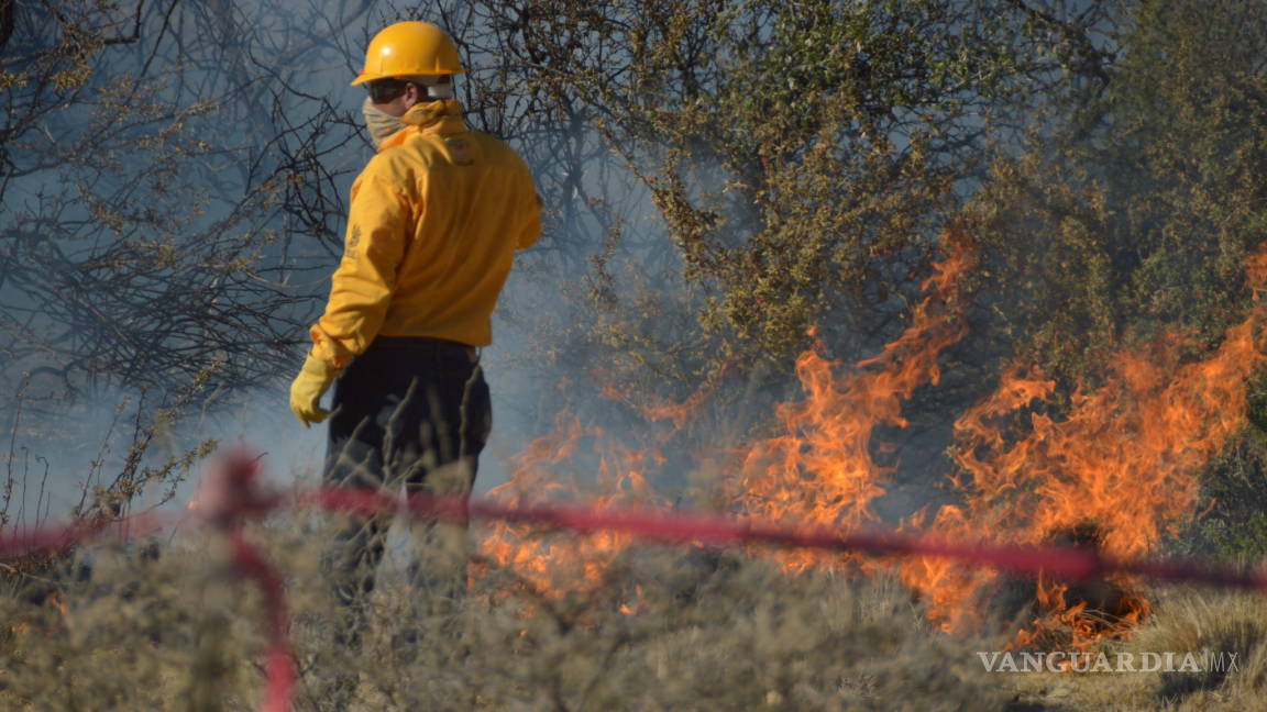 Arrasa incendio forestal con 80 hectáreas al sur de Saltillo