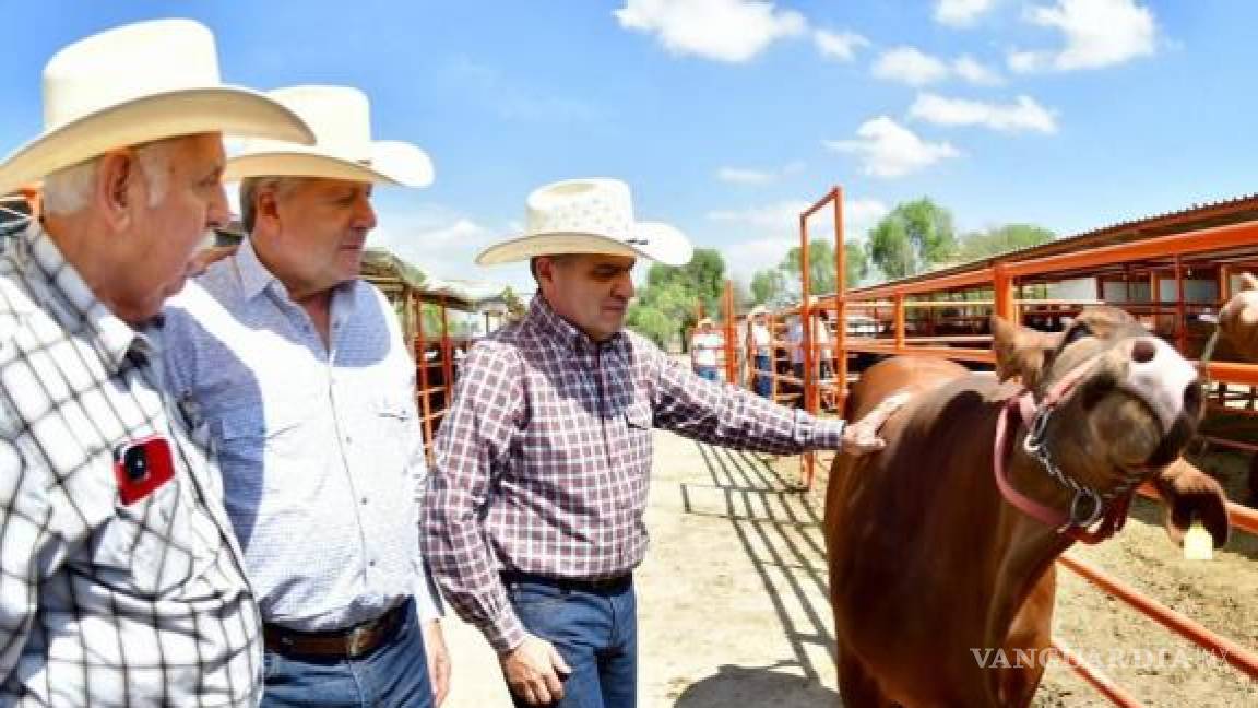 Consigue Coahuila reclasificación para exportación de ganado: MARS