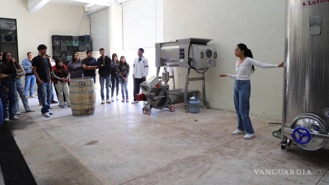 Universidad Tecnológica de Parras desarrolla vino con nueva uva, la Touriga