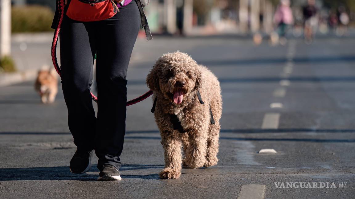 $!La Ruta Recreativa sigue siendo un espacio de esparcimiento que fomenta la salud, la integración comunitaria y la inclusión en Saltillo.