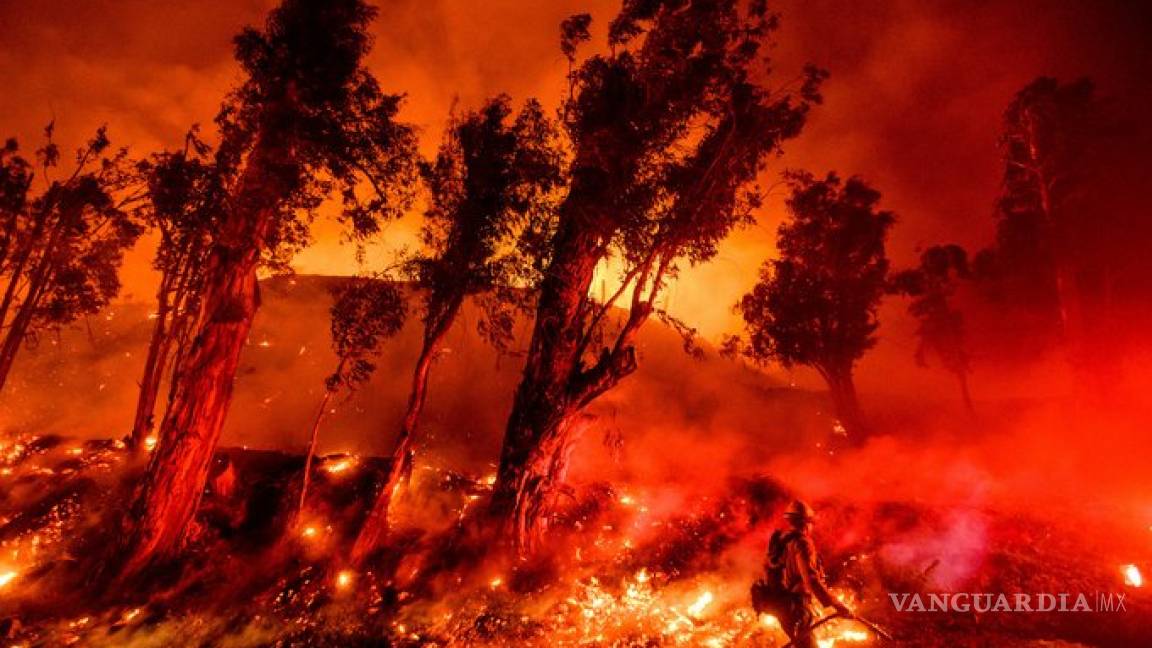 Trump no quiere dar dinero para incendios en California porque &quot;cada año es lo mismo&quot;