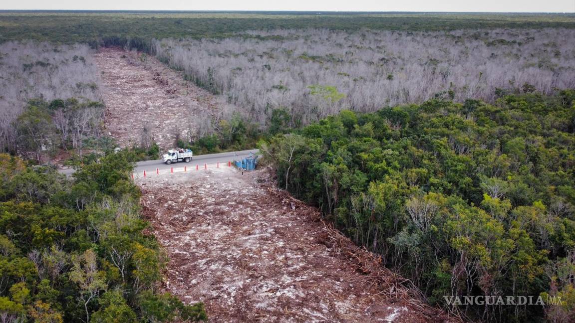 Denuncian hundimientos de suelo en la ruta del Tren Maya