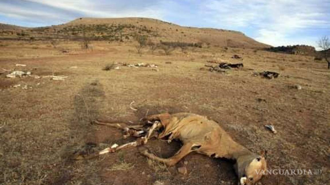 Arranca 2023 y sequía ya afecta a 80% del territorio nacional, advierte el SMN