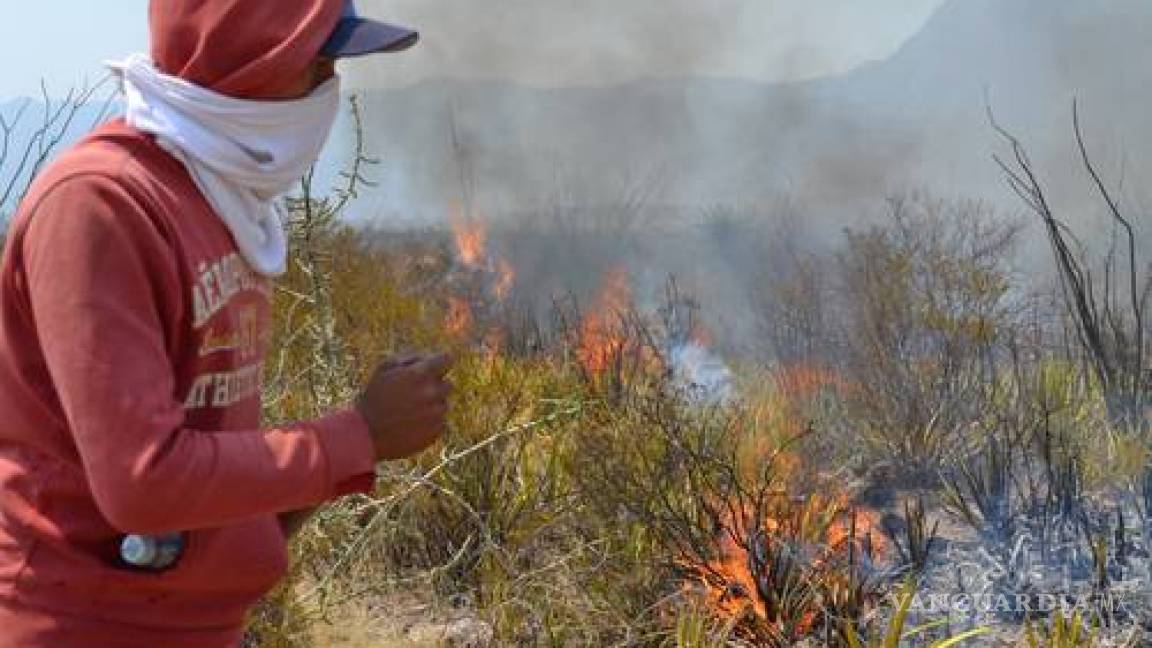Continúa fuera de control incendio forestal en la Región de Jimulco en La Laguna
