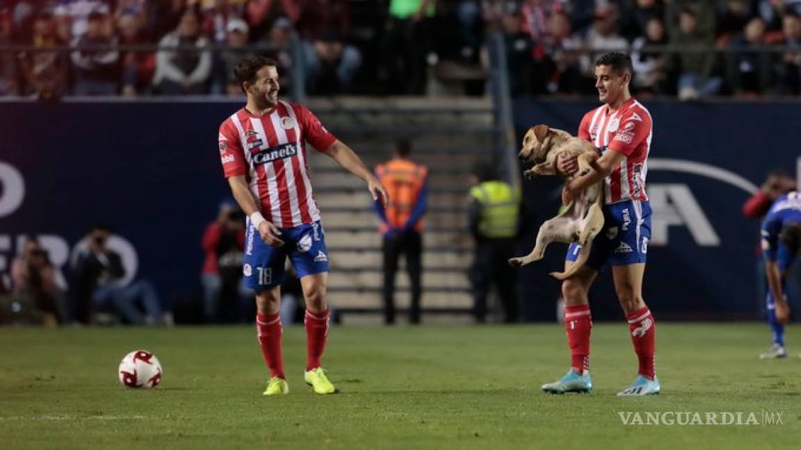 San Luis busca a la perrita que invadió la cancha en el juego ante Cruz Azul