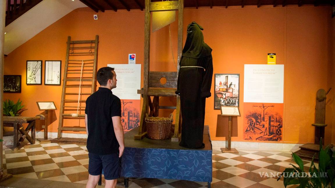 $!Un tiburón que vive 400 años y otras curiosidades que parecen un cuento, pero son verídicas