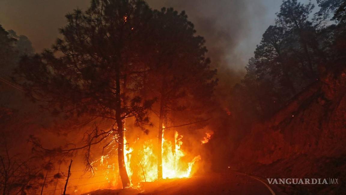 Incendio en Arteaga fue originado por quema de residuos agrícolas: Fiscalía