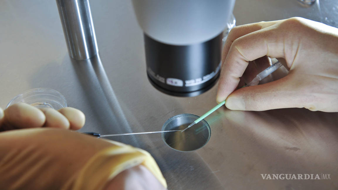 Autoriza Reino Unido la modificación genética de embriones humanos