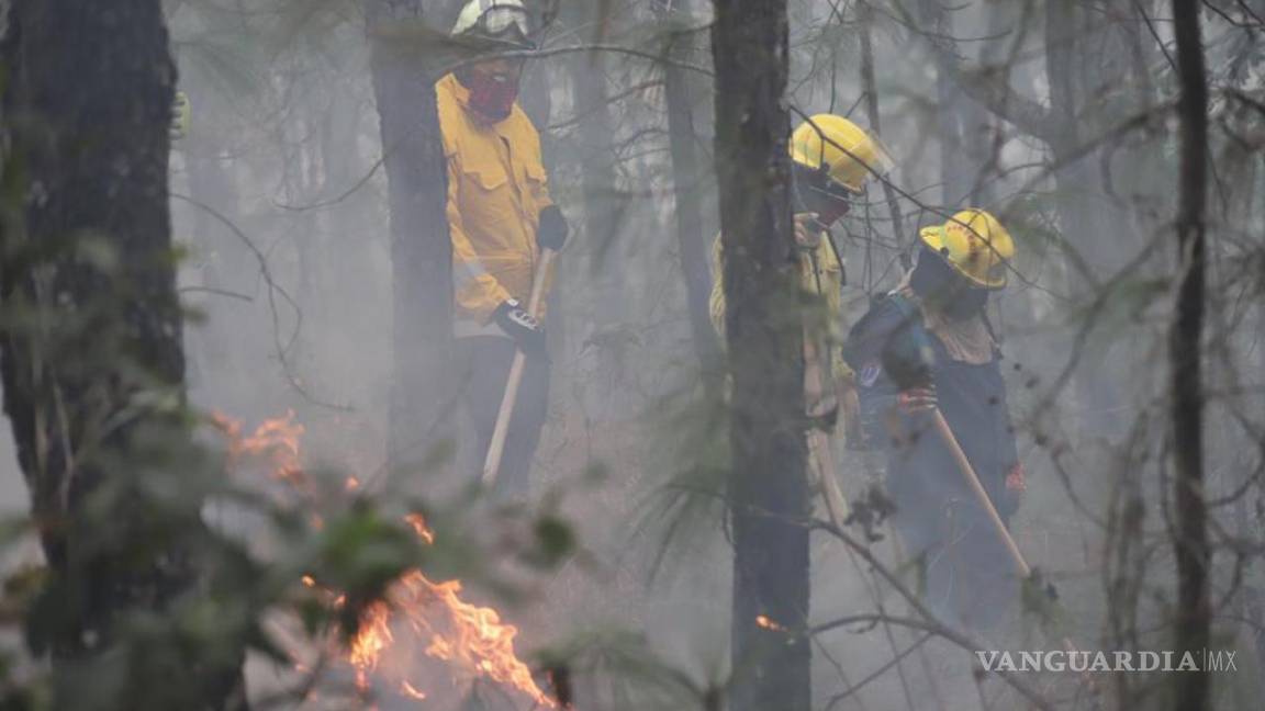 Avanza combate de incendio forestal en Sierra de Santiago, Nuevo León