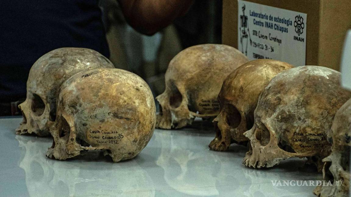 Encuentran 150 cráneos de un posible altar maya a la muerte en Chiapas