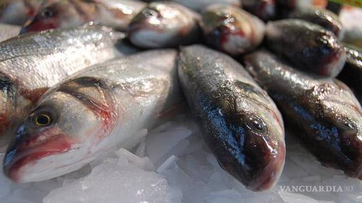 $!En esta Cuaresma, ¿cómo saber si el pescado que compras es fresco?
