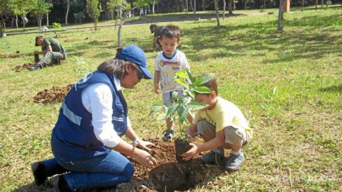 Realizan en Ramos padrón de árboles