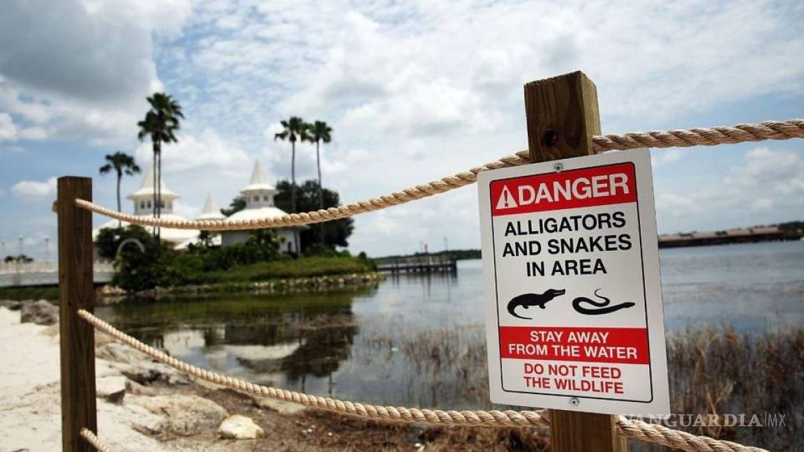 Construyen muro alrededor de lago de Disney donde cocodrilo arrastró a niño