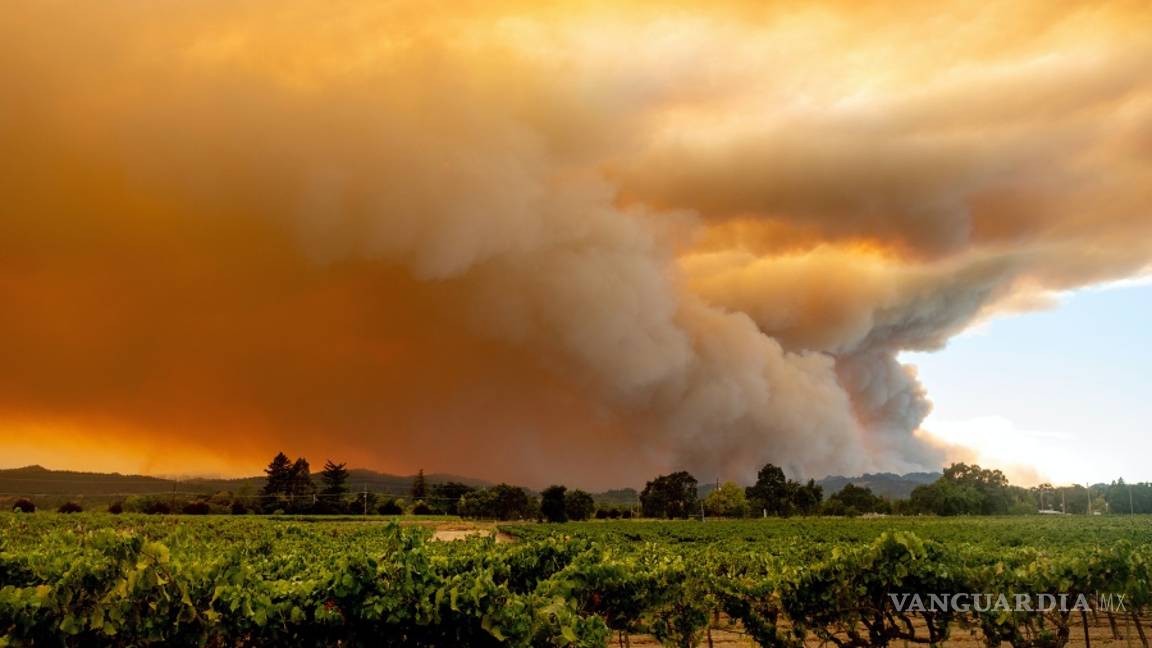 $!Incendios en California dejan 6 muertos, miles de casas en peligro