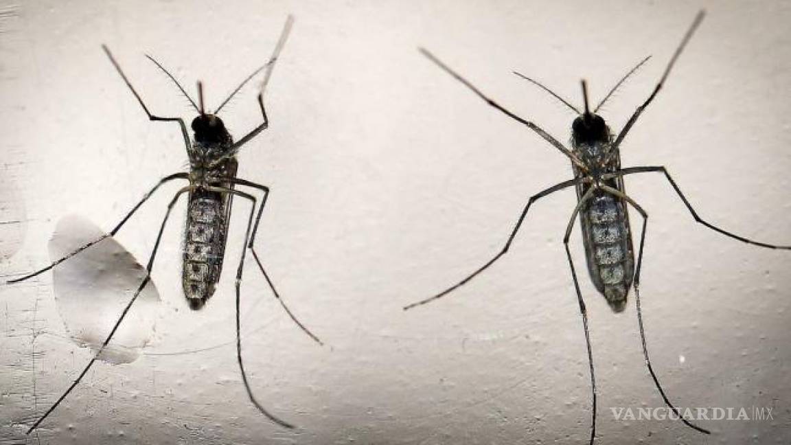 Comienza la venta en Brasil de primera vacuna contra el dengue del mundo