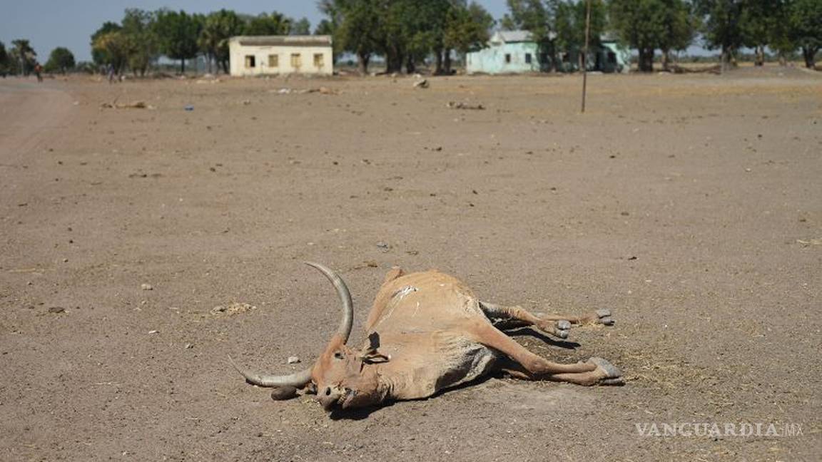 $!Sudán del Sur es declarada en hambruna