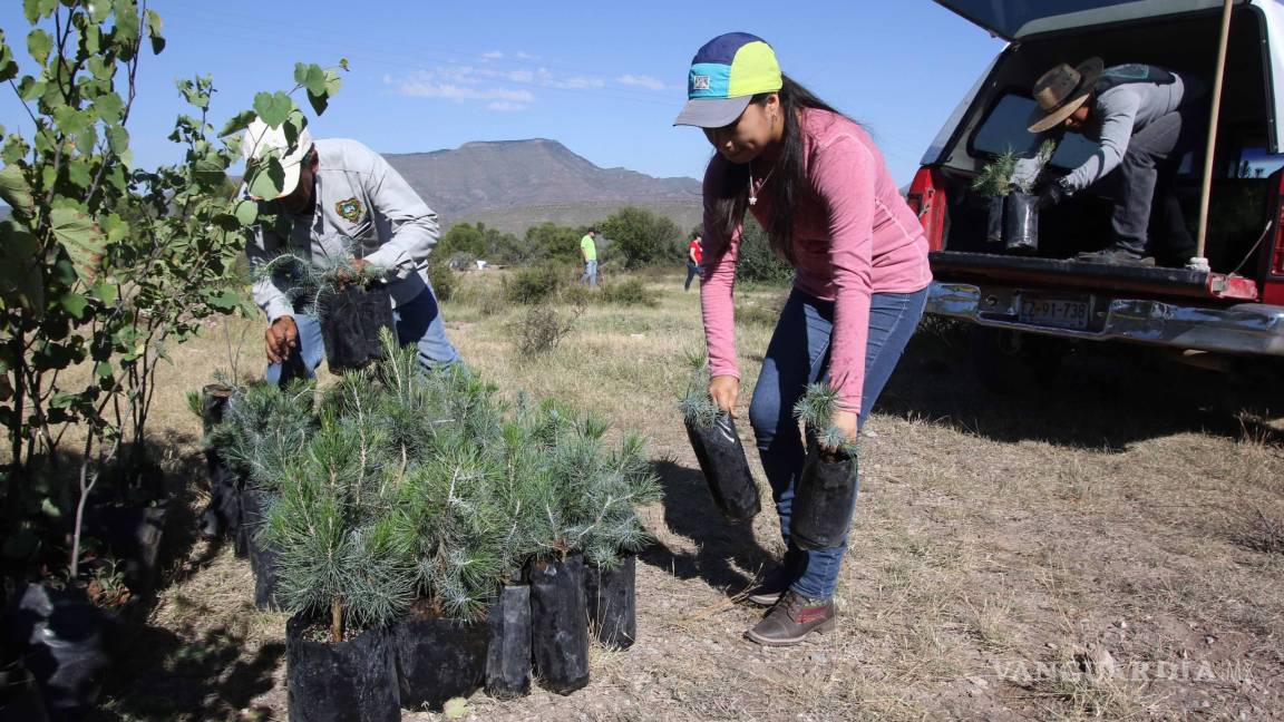Iniciativa de Apoya Tu Bosque Local, suma esfuerzos y más de 6 mil arboles plantados