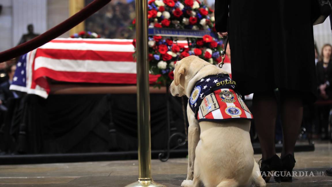 $!Sully, el perro del expresidente George H. W. Bush se despide de su amo (Fotogalería)