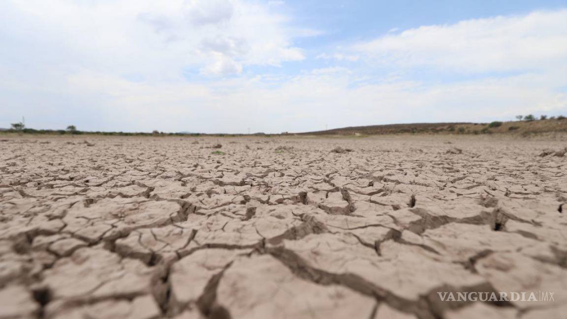 ‘Cada 50 años se vive sequía en Coahuila’, indica investigación de la UAAAN