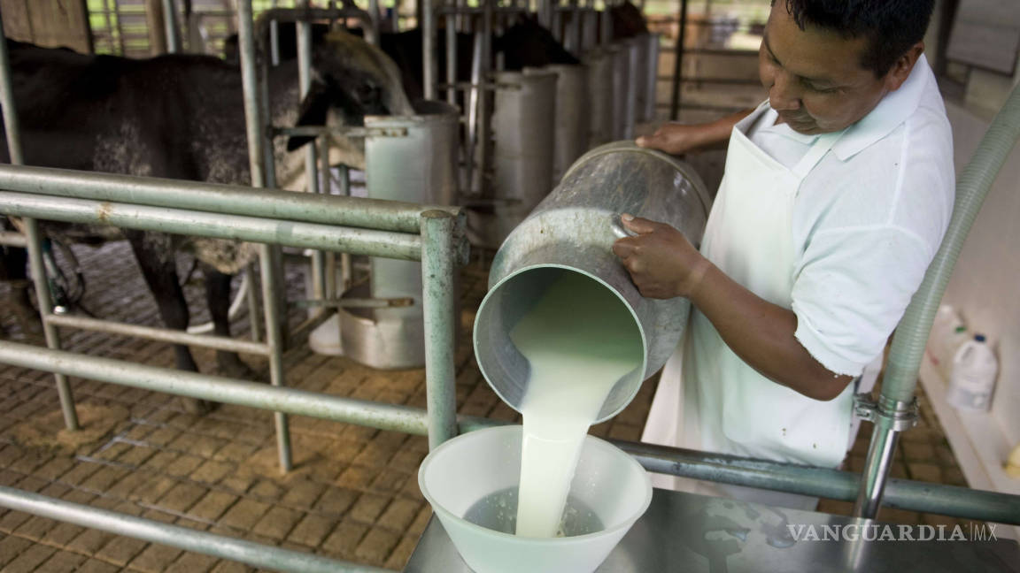 Productores de lácteos mexicanos piden apertura a mercado de EU