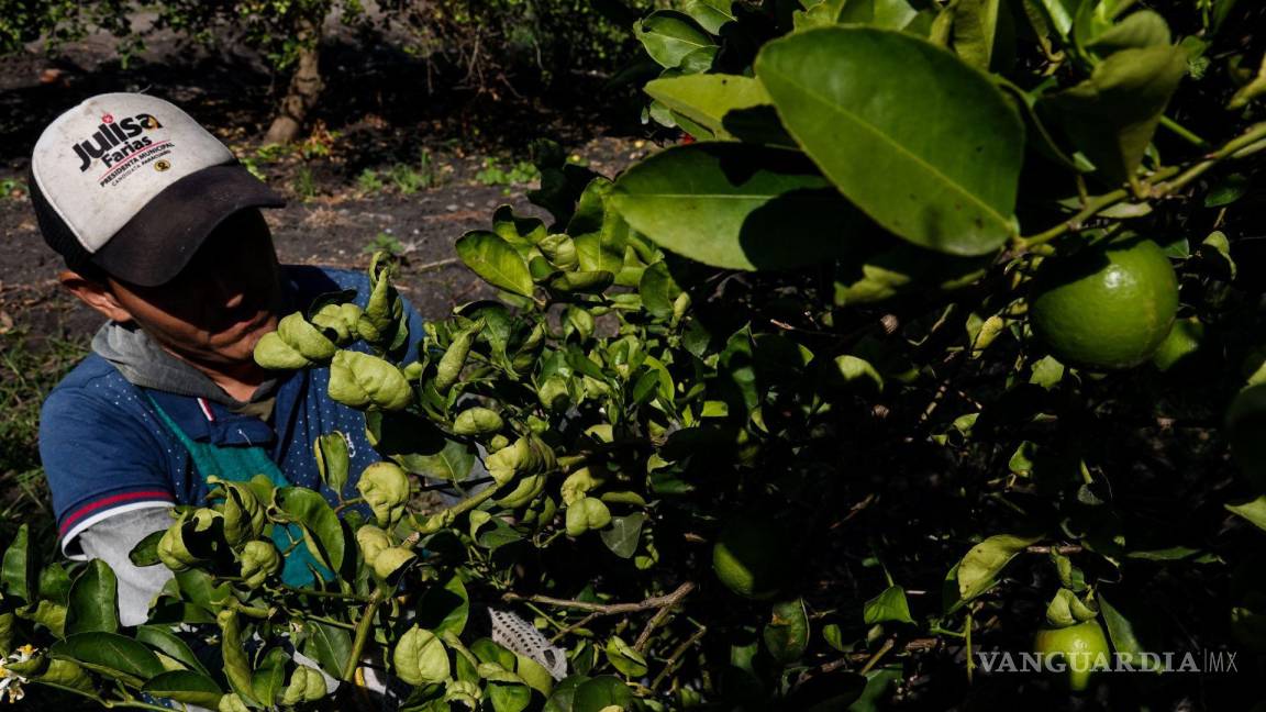 Desempleo entre los hispanos de Estados Unidos sube hasta 5.3 %; despiden a más de 16 mil personas