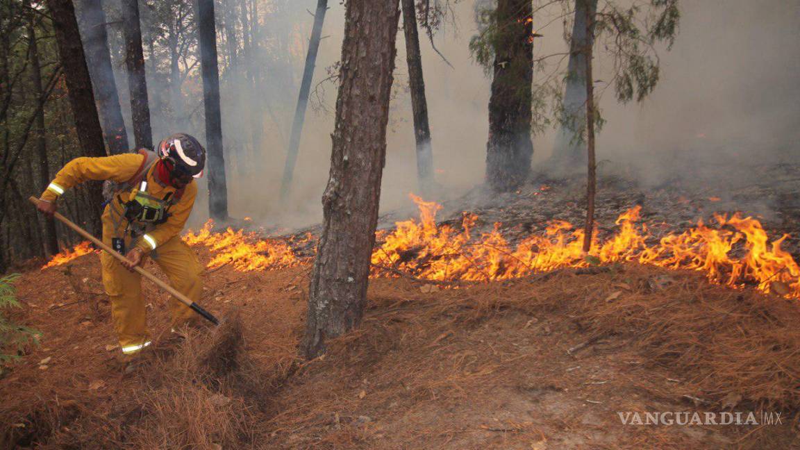 Incendio avanza a comunidades de Santiago; arrasa 800 hectáreas
