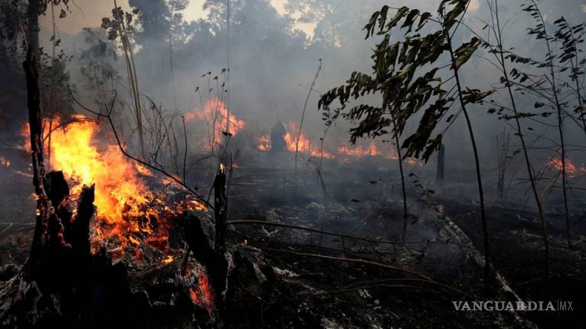 DiCaprio encara a Bolsonaro tras acusaciones de pagar por incendios en Amazonia