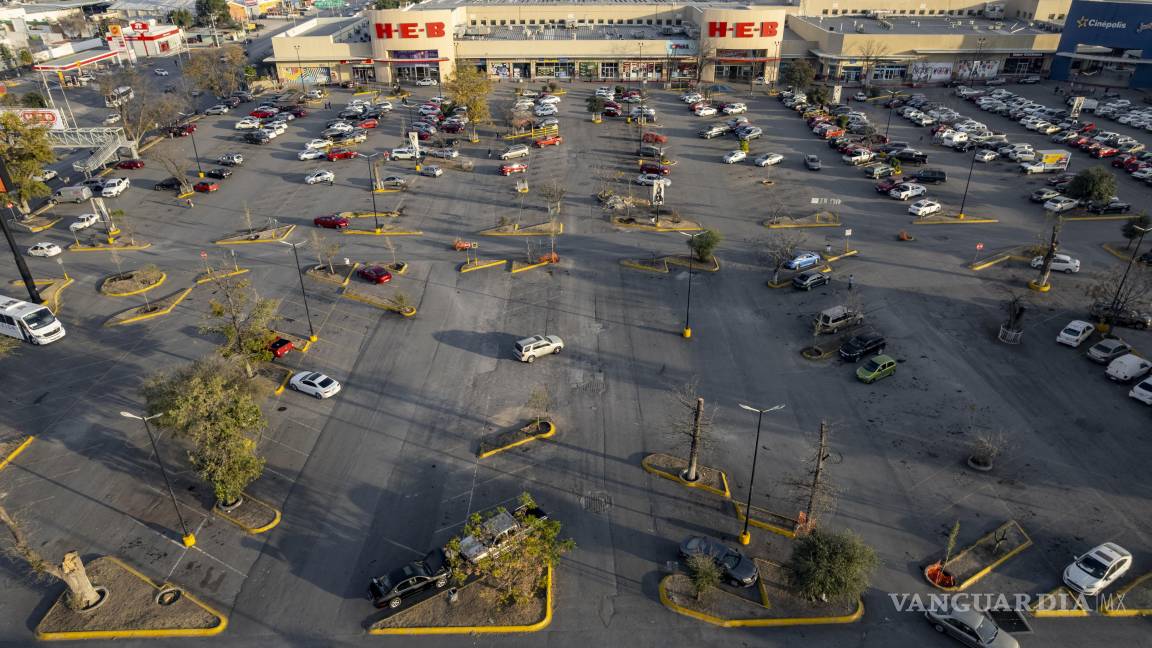 $!Autoridades municipales ordenaron la reposición de 33 árboles adultos en el complejo.