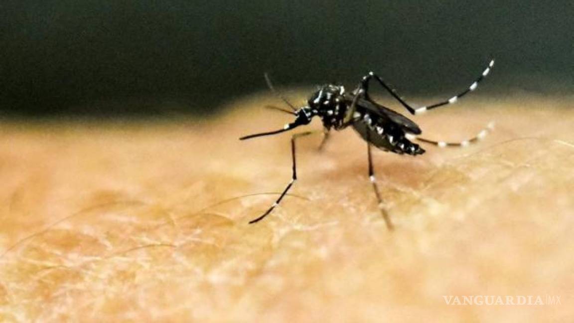 Atienden brote de zika en Monclova