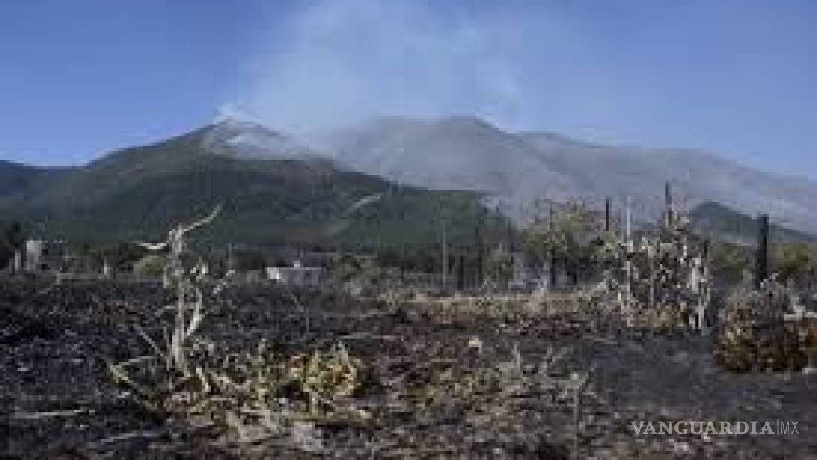 Reportan incendio forestal en El Tunal, municipio de Arteaga