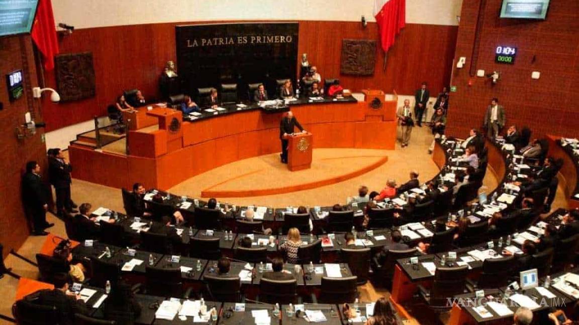 Avala INE reparto de plurinominales en Senado y Cámara de Diputados