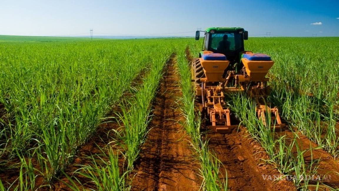 Sector agropecuario tiene el mayor crecimiento: Titular de Sagarpa
