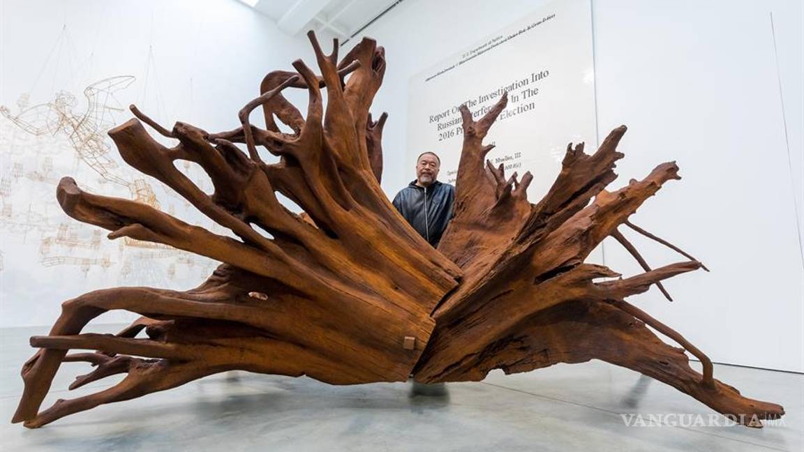 $!Ai Weiwei explora la noción de desarraigo y deforestación en su nueva muestra "Raíces"