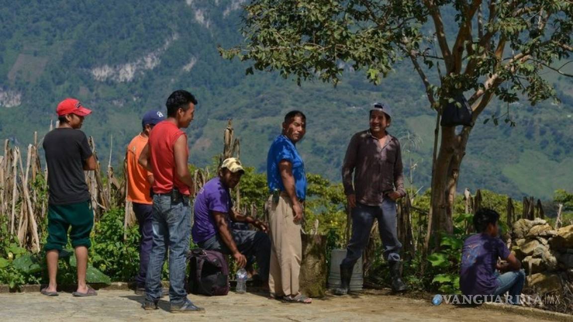 Acusan agresión armada a indígena tzotzil en Chiapas
