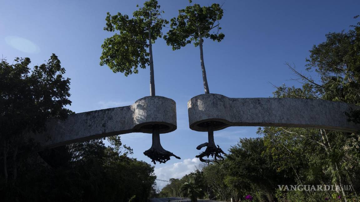 $!Árboles con las raíces al aire, suspendidos en el aire a modo de decoración en la entrada de un complejo turístico en Playa del Carmen, México.