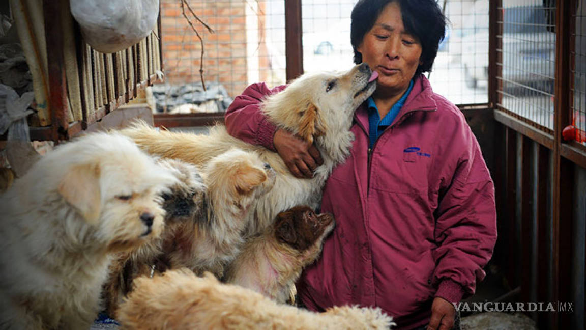 Los perros son eliminados de lista de animales para consumo humano y para experimentos, en China