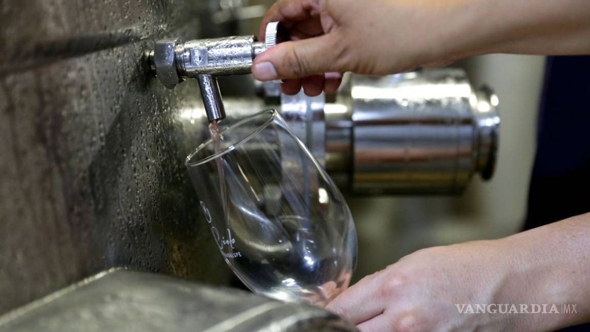 $!Salieron políticos 'buenos' (y vivos) para el vino: aprovechan apoyos federales para sus viñedos