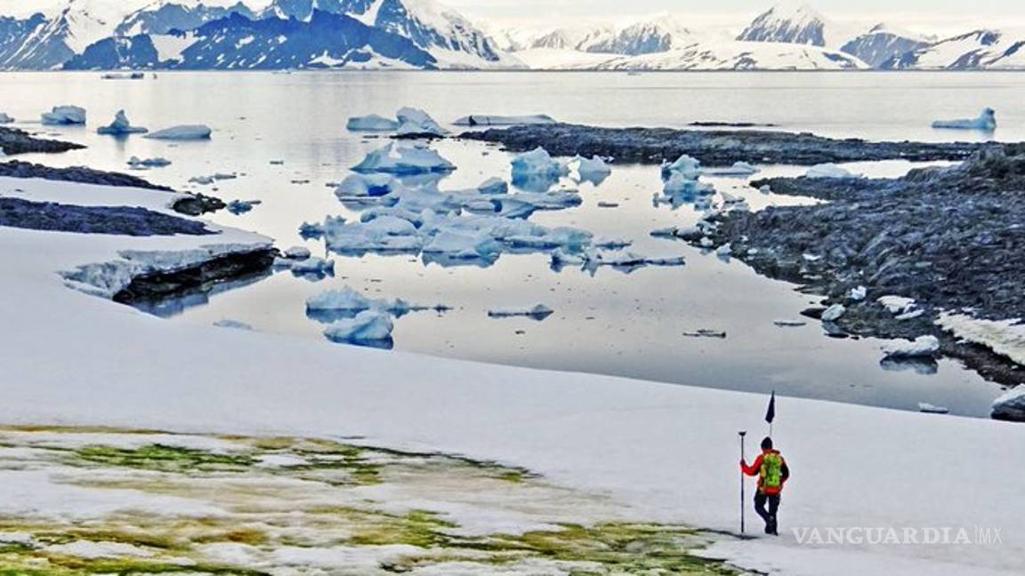 $!Aparece 'nieve verde' en la Antártida, por el cambio climático