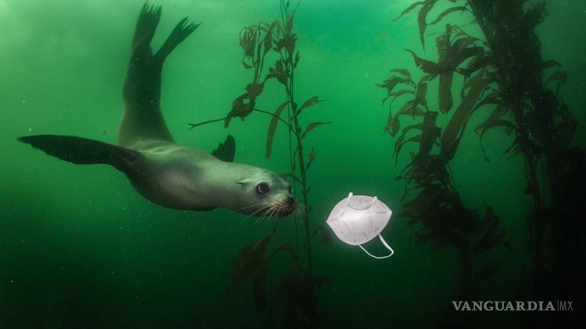 $!The First Embrace del danés Mads Nissen gana el World Press Photo del año