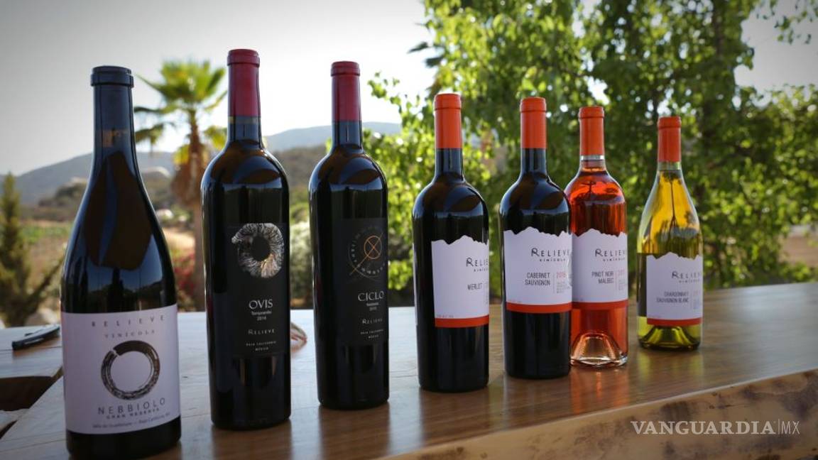 $!Salieron políticos 'buenos' (y vivos) para el vino: aprovechan apoyos federales para sus viñedos