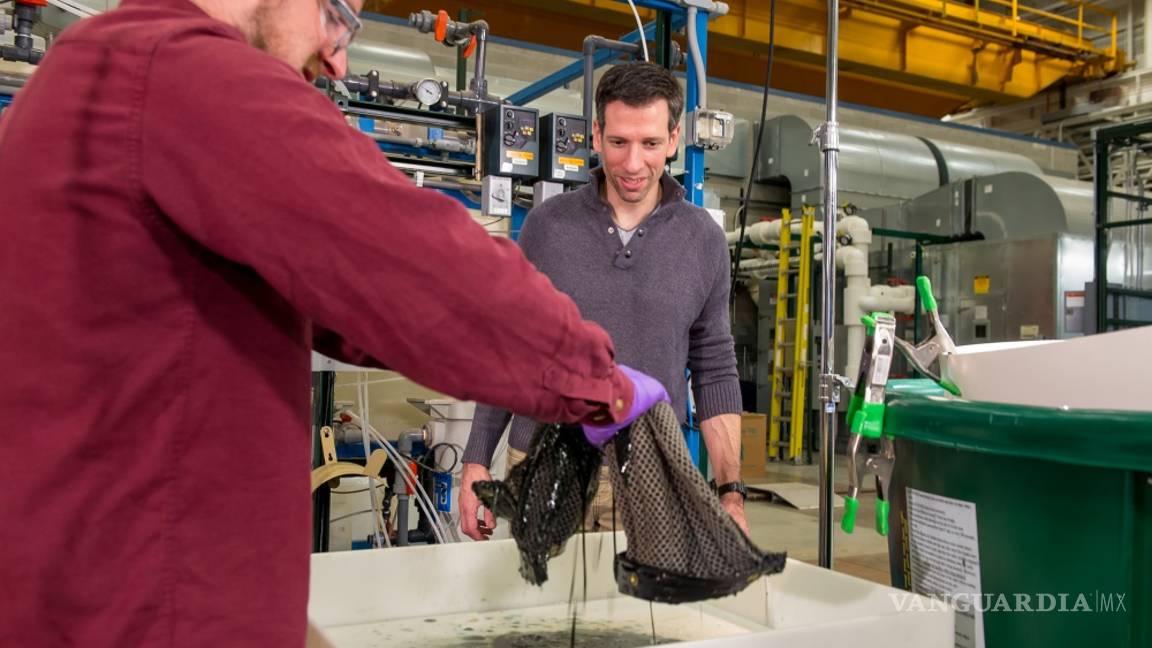 $!La óleo-esponja absorbe 90 veces su propio peso y extrae distintos tipos de petróleo